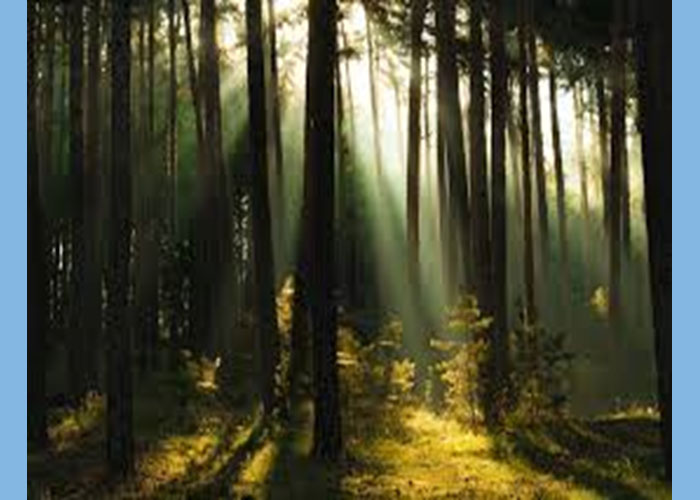 Harz Mountains