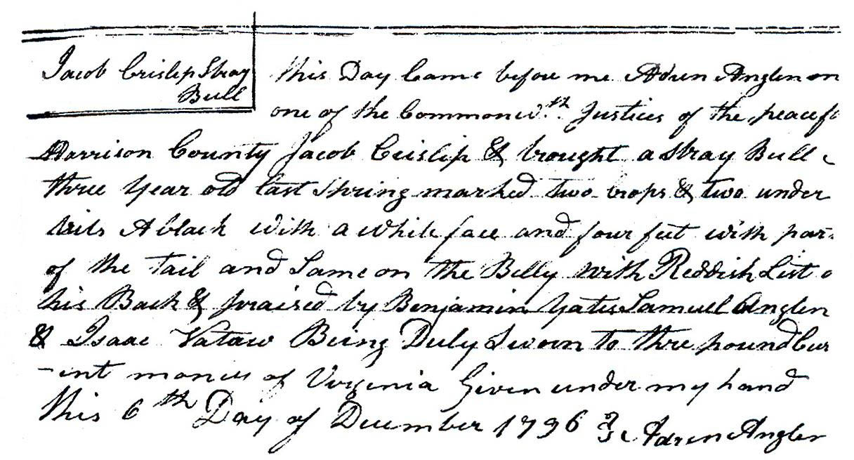 1796 Book of Strays