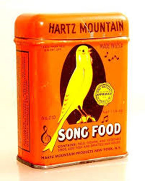 canary food