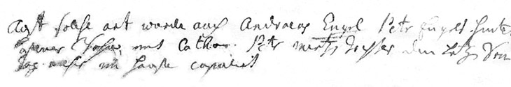 Andreas Engle Marriage Record