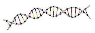 DNA