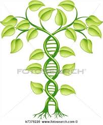 Family Tree DNA